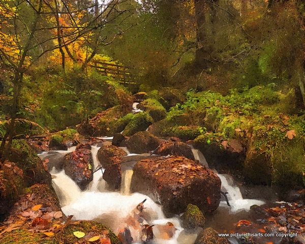 No 10 Babbling brook.