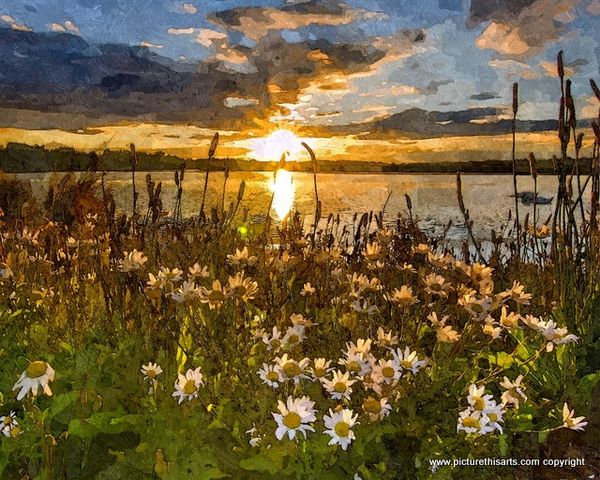 No 11. Sunrise over the salt marsh.