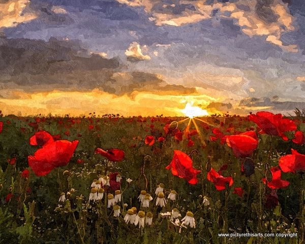 No 13. Sunrise over the poppy field France.