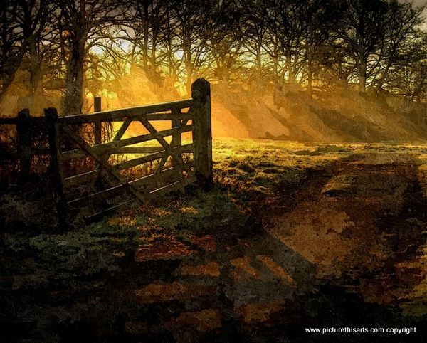 No 27. Morning rays.