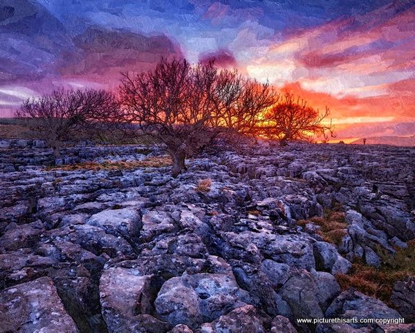 No 35. Lime stone pavement Yorkshire.