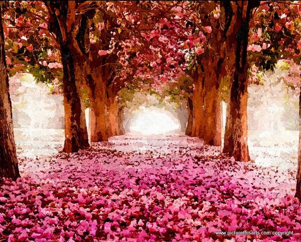 No 47. Cherry blossom avenue.