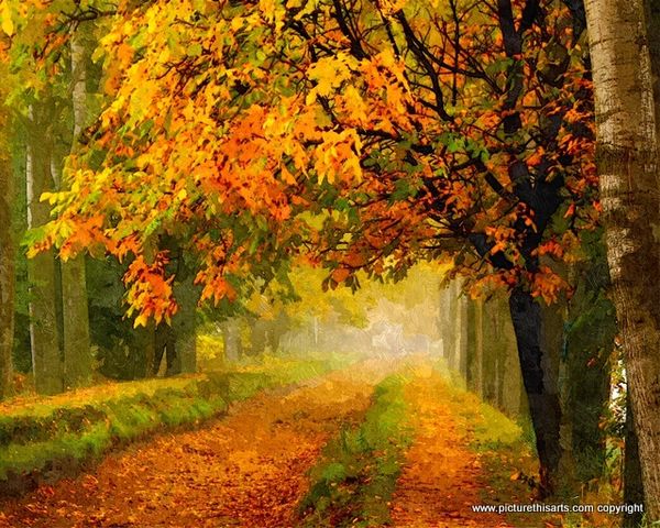 No 50. Autumn avenue.