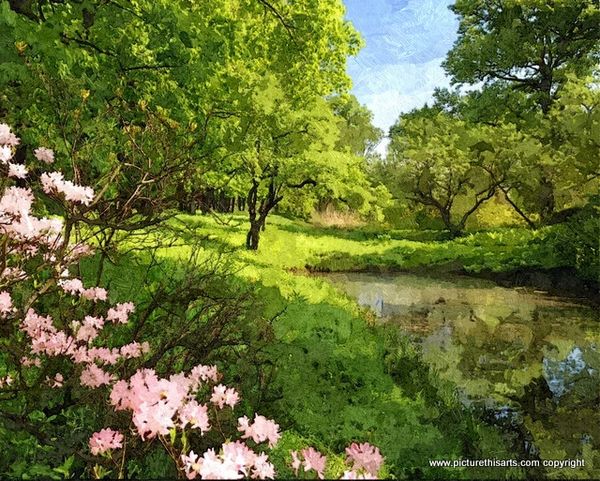 No 52. Valley in bloom..