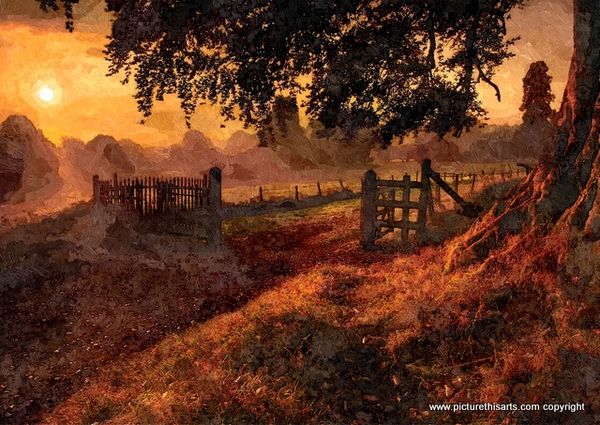 No 55. Sun sett over the top field.