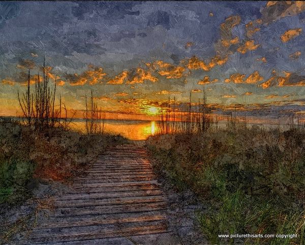 No 56. Duck boards to the sun sett.