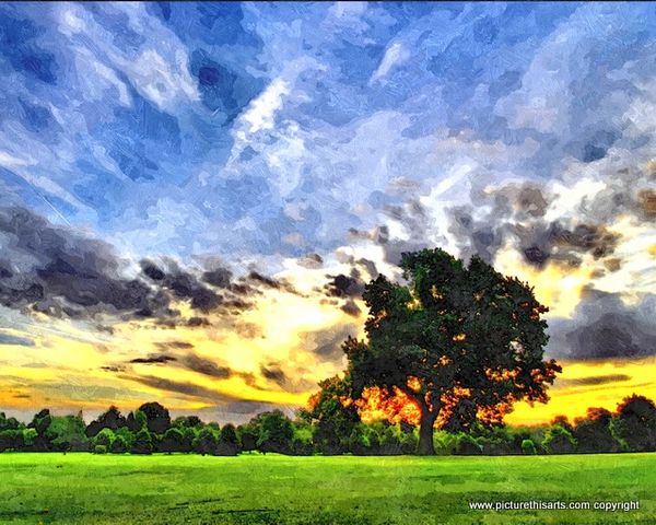 No 60. Startling sky.
