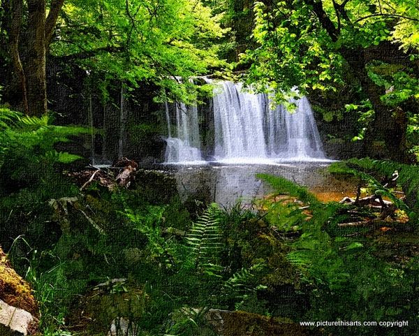 No 3. Forest waterfall.