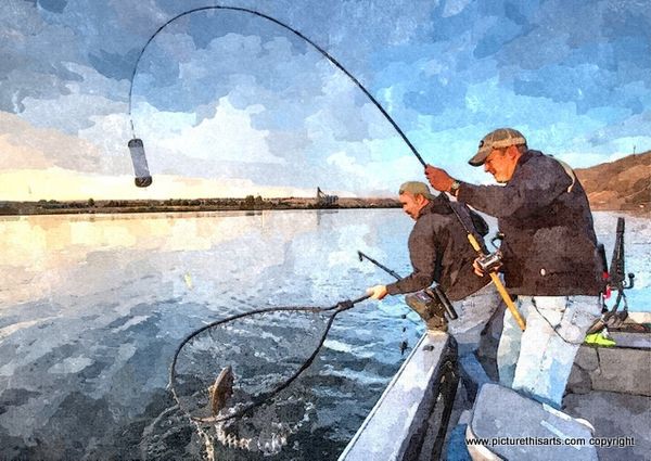 No 16. In the net.