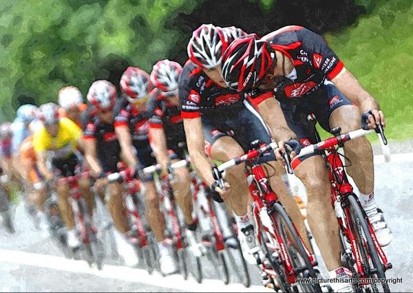 No 24. Looking for the Yellow Jersey.