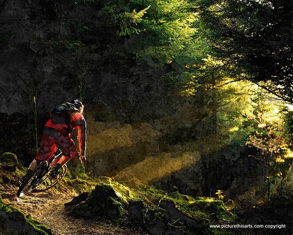 No 26. Flying through the woods.