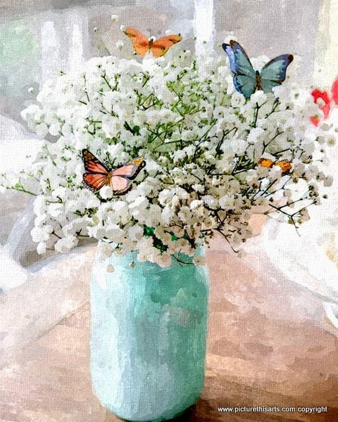 No 22. Butterfly's.
