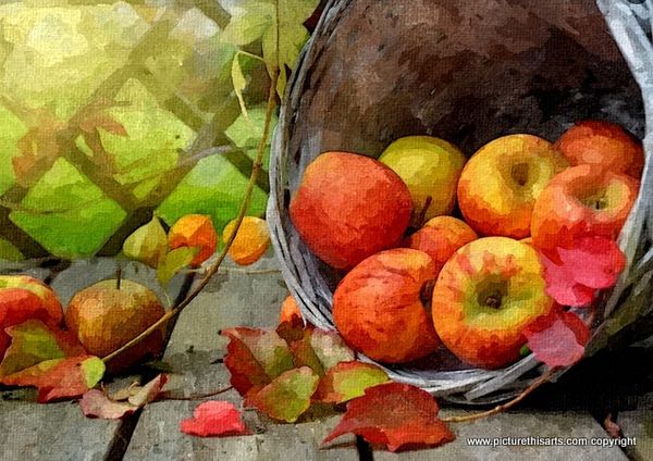 No 38. Autumn apple basket.