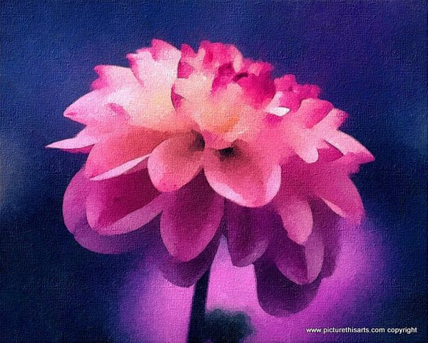 No 41. Mystical flower.