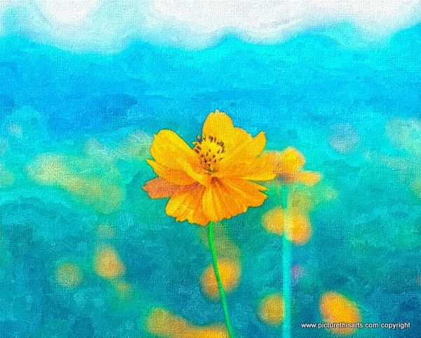 No 44. Yellow on Turquoise.