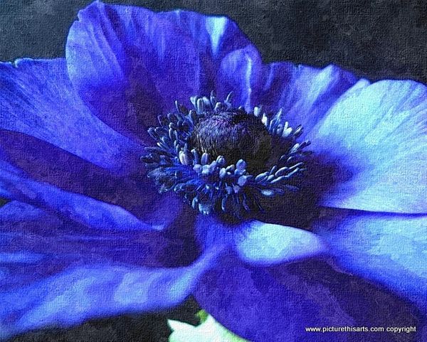 No 44. Stunning blue.