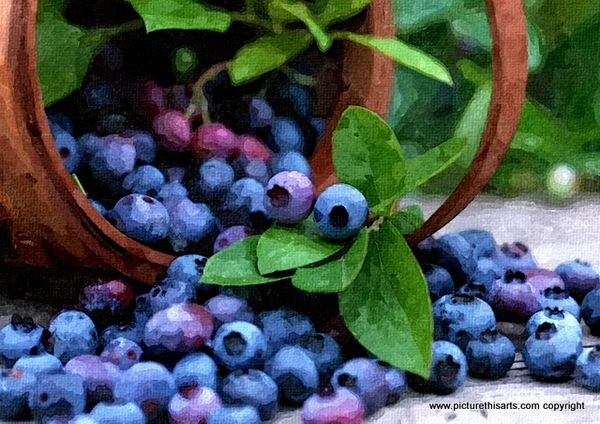 No 58. The basket of blueberry's.