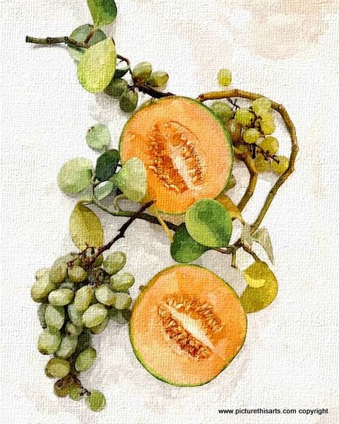 No 73. Grapes and figs.