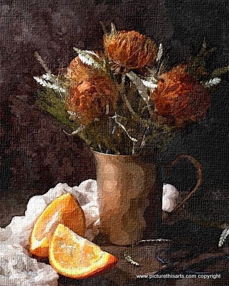 No 74. Sliced orange.