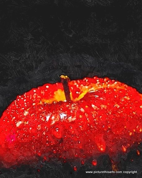 No 79. Rain soaked apple.