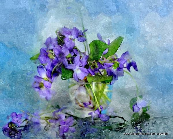 No 86. Lilac and blue display.