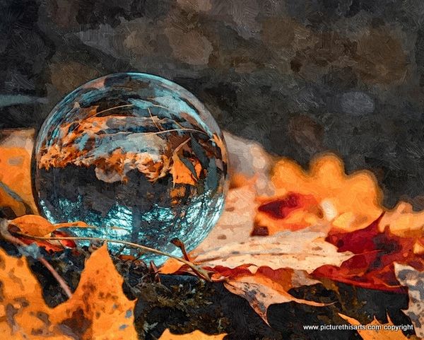 No 89. Autumn reflection.