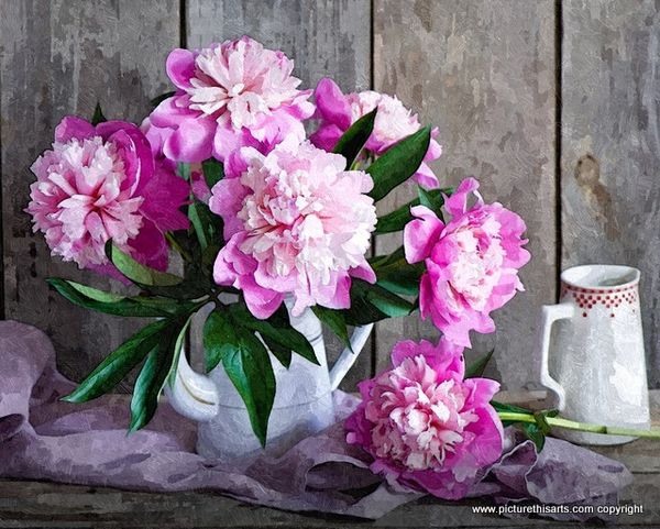 No 93. Pink Peonies on display.