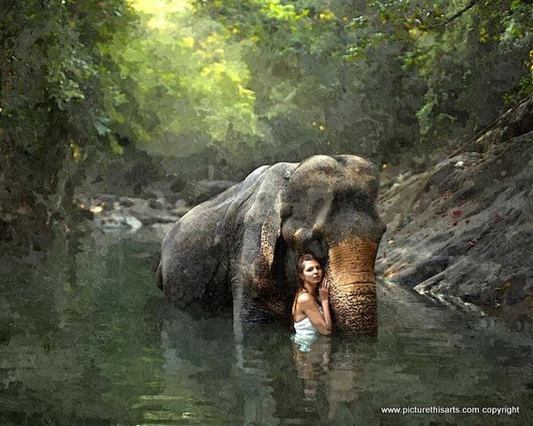 No 5. Kanya & her Elephant Chiang Mai.