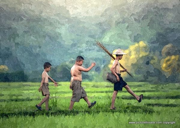 No 7. Off to work in the paddy fields.