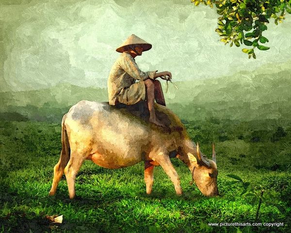 No 11. Catching a ride.