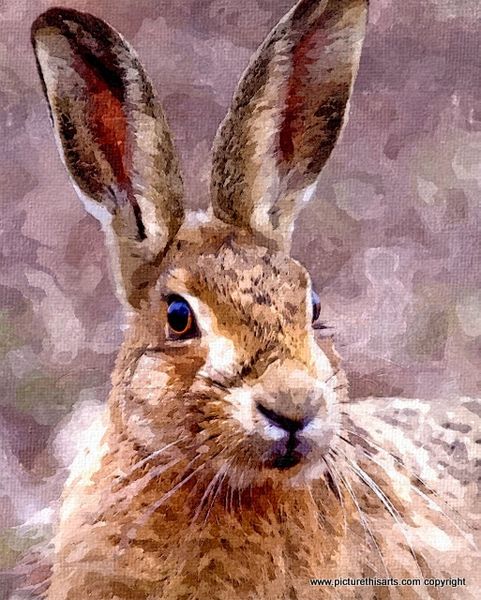 No 10. Hare on alert.