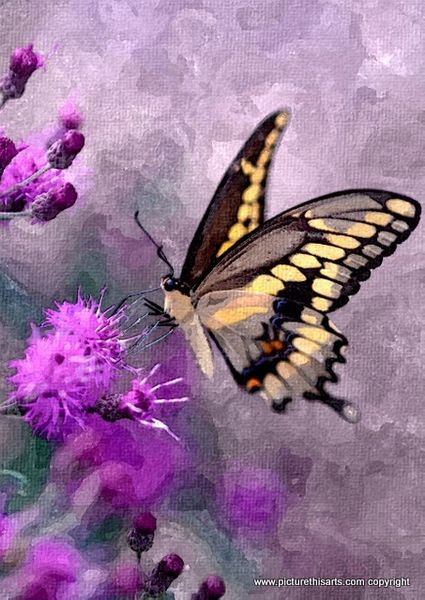 No 14. Purple butterfly.