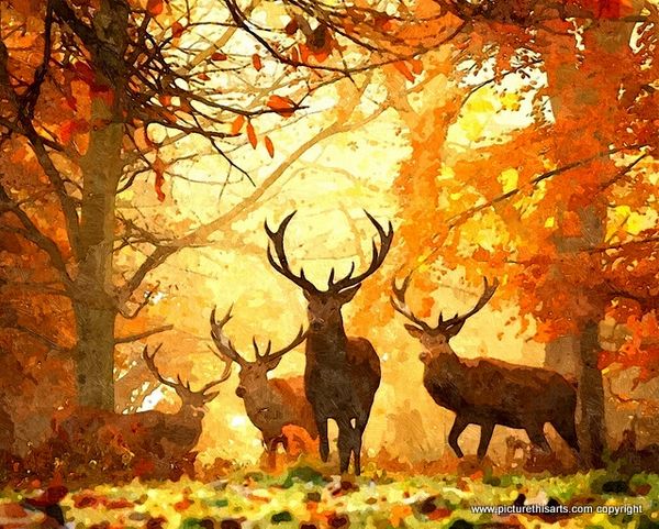 No 20. The stags gathering.