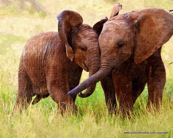 No 1. Baby elephants.