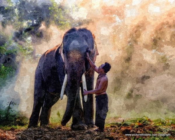 No 1. Elephant, trainer and friend.