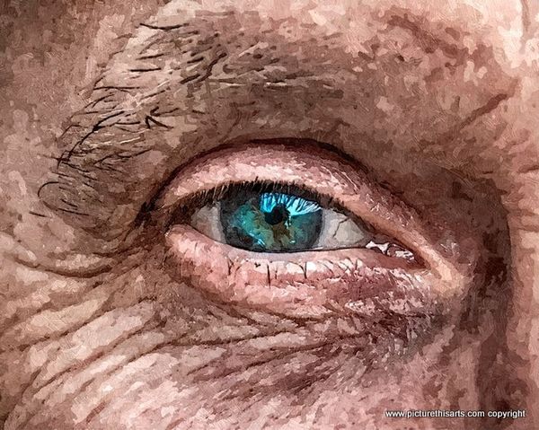 No 19 Old blue eye.