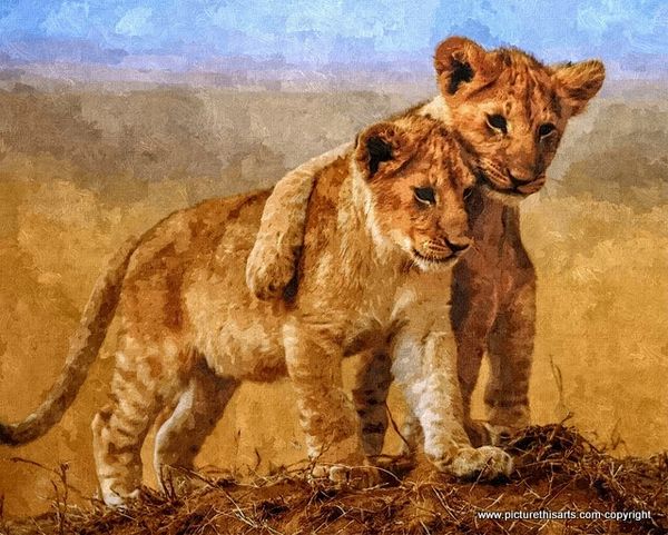 No 22. lion cub brothers.