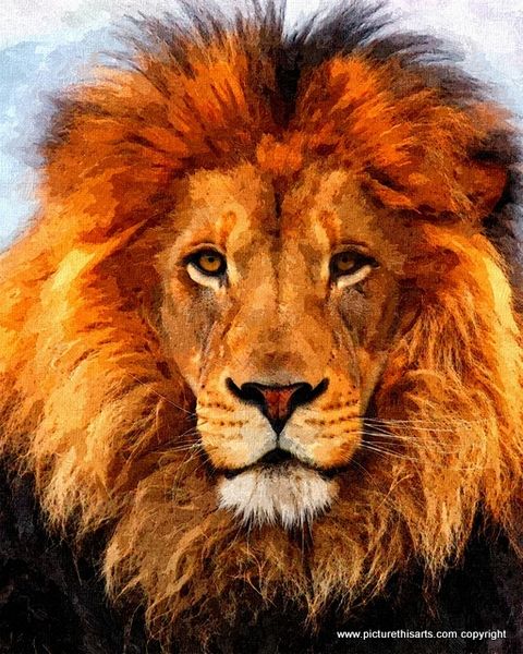 No 23. Full on Lion and Main.