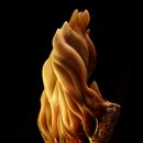 in the flames
