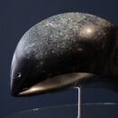 Gallery 113 8x10 porpoise carved in serpentine stone