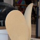 two shells carved in stone