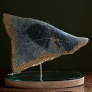 a tropical fish made of stone