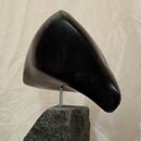 porpoise 03