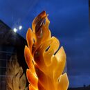 the fire and the light