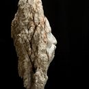 sadhu-07