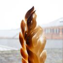 The Fire and the Light 01