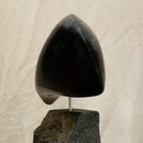 porpoise 04