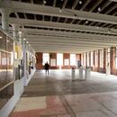 New Light Summer Exh 55