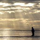 fishing at dawn on 4 mile beach