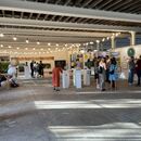 New Light Summer Exh